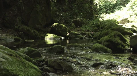 Low position stream shot, color-graded Full HD (1920x1080) Video stock 39337606