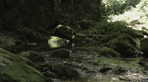 Low position stream shot, non color-graded 4K (3840x2160) Stock-Footage 39343930