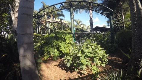 Low pov Roller coaster in the trees. Видео 108590236