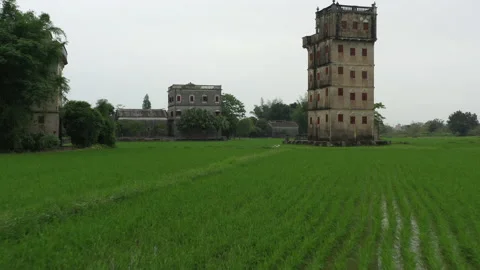 Low Push Over Rice Field Toward Ancient Chinese Architecture Stock Footage 206913053