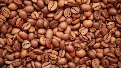 Low quality coffee beans. Close-up of coffee beans. Stock Footage 261990847