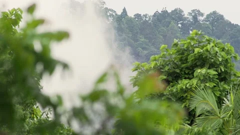 Low Rain Clouds Drifting Through Tropical Jungle Hills After Monsoon Rain Видео 334829761