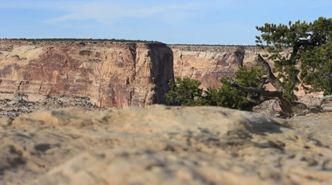 Low redrock canyon Stock Footage 36842585