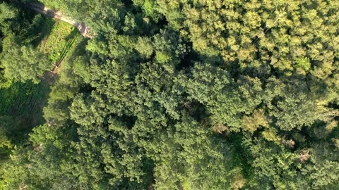 Low retention in Poland, drone 4k 60p Stock Footage 280200215
