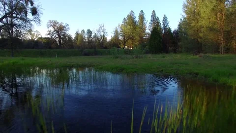 Low Reverse Aerial Over Pond Vídeos de archivo 77377050