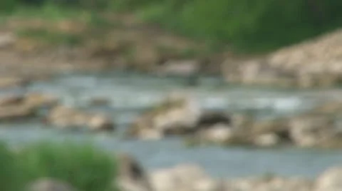 Low River Stock Footage 10762492