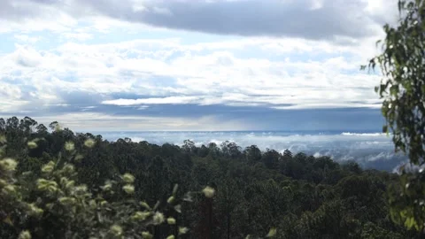 Low Rolling Clouds From The Mountains in the Early Morning Stock Footage 136990692