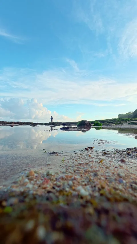 Low sandy shore with tidal pools and sky Video stock 335442605