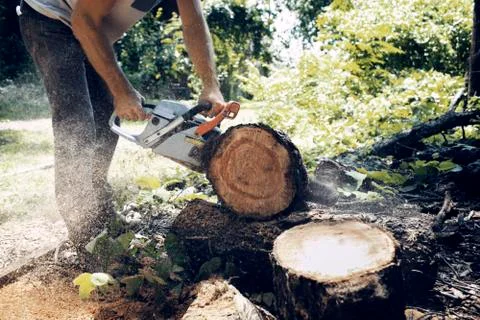 Low section of man cutting log with chainsaw Stock Photos