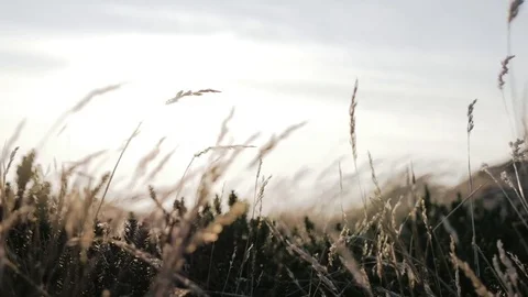Low section of man walking on coast Stock Footage 71564735