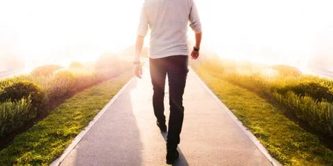 Low section of a man walking in the park Stock Photos