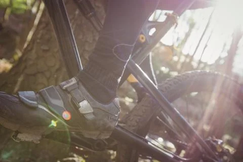 Low section of mountain biker riding in forest 写真素材
