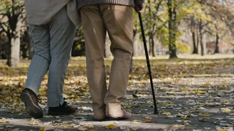 Low section of senior couple walking together at the park in autumn Stock-Footage 208294459