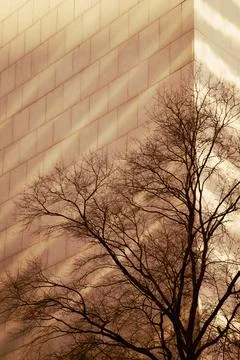 Low shadows fall on masonry building in Charlotte, North Carolina with wint.. Stock Photos