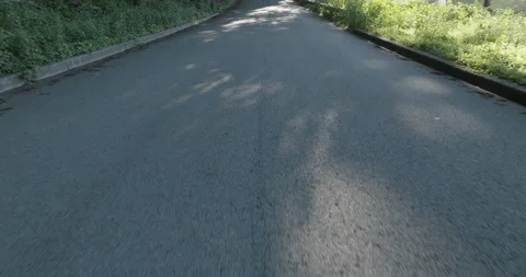 Low Shot of Asphalt Road Without Vehicles Next to Wooded Area - Evening / Sunset Vídeo Stock 201281796