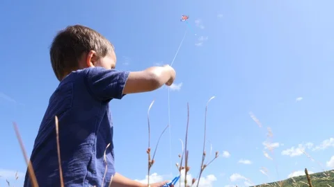 Low shot of a cute boy having fun flying a kite Stock Footage 122410276
