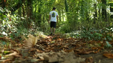 Low Shot In Forest Walking Away From Camera 4K Stock Footage 214292147