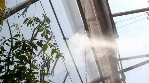 Low shot of mist spraying over plants Stock Footage 288336321