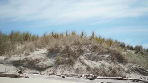 Low-shot of Sand Dune Stock Footage 253909889
