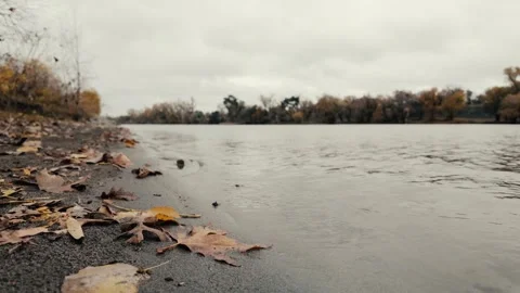 Low shot of a sandy levee in fall with leaves on the shore Stock Footage 259213662