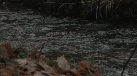 Low shot of Small stream Stock Footage
