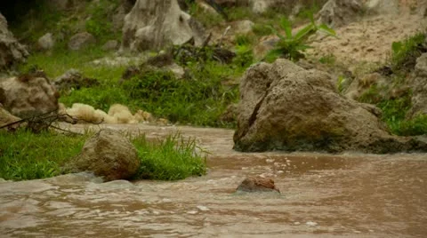Low shot of small stream or spring, water flowing away from camera. Stock Footage 11437265