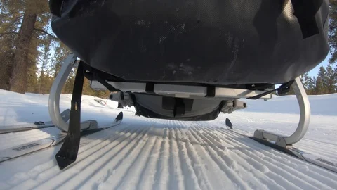Low shot under ski trailer as family cross country skis in the woods Stock Footage 124517469