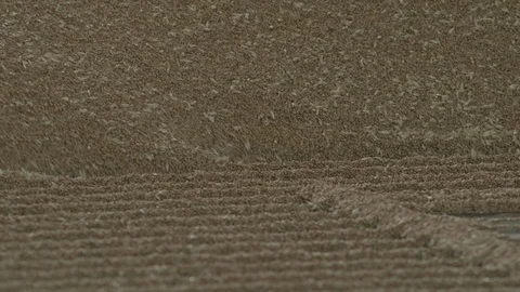 Low shot 	unloading wheat into mill or silo in slowmotion 4k Stock Footage 125041951