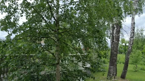 Low sideways drone movement over urban green space Stock-Footage 332684092
