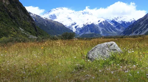 Low slider move through summer field, snow covered mountains in the distance. Stock Footage 34345858