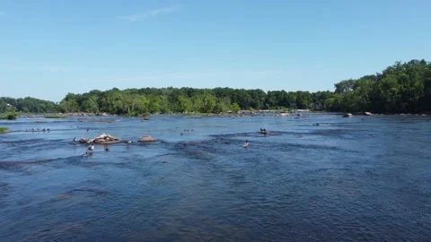 Low Slow Dolly Shot Pushing Up Gentle River Current With Geese Stock Footage 161441402