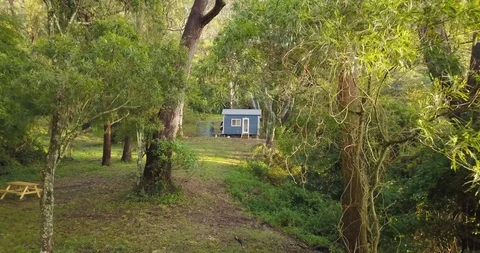 Low smooth fly through trees towards small blue cabin in the woods Stock Footage 98272000