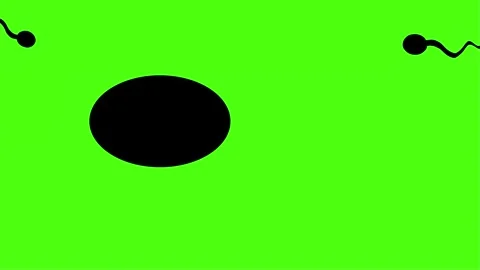 Low sperm count. Stock-Footage 140499030