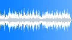 Low Spiritedness Acoustic Incidental Background Music with Fiddle (violin) Stock Music