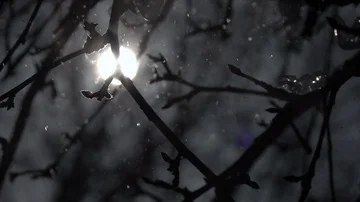 Low sun in frame and lens flare, snowfall in shallow focus and apple twig. Stock Footage 86042441