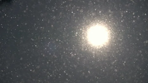 Low sun in frame with lens flare and snowfall in shallow focus in slow motion Stock Footage 86429037
