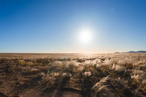 Low sun lights a wide grass plain in Namibia 스톡 사진