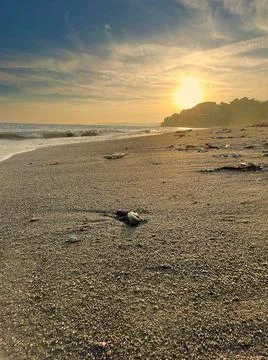 Low sun over the beach Foto stock