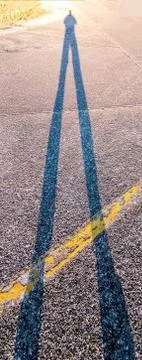 Low Sun Shadow Stock Photos