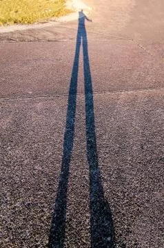 Low Sun Shadow Stock Photos