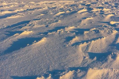 Low sunlight making long shadows in snow on a field Stock-Fotos