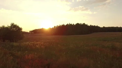 A low sunset flight over a rusty meadow Video stock 63652926