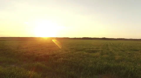 A low sunset flight over a rusty meadow Video stock 63654053