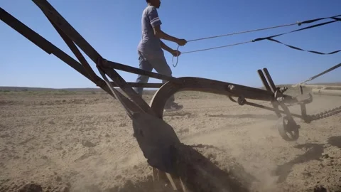 Low tech: Hand plough pulled by horse team breaks up soil in field Stock Footage 302524085