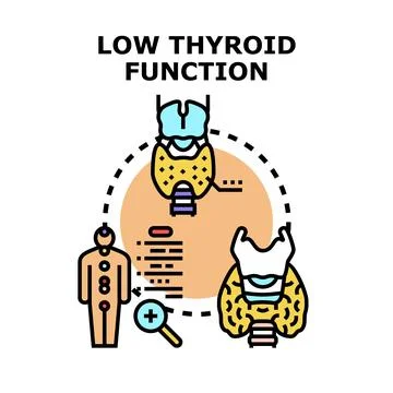 Low thyroid function causing health problems and diagnosis Stock Illustration