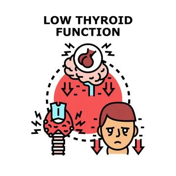 Low thyroid function causing hypothyroidism health problem Stock Illustration