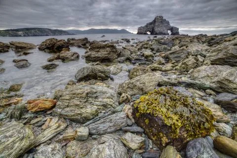Low tide, algae and rocks Stock Photos