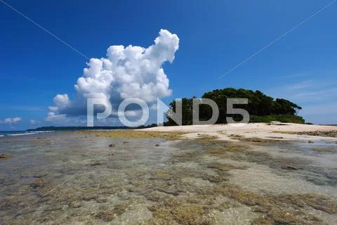 Low tide and blue sky and white clouds on the coral beach. andaman islands. Stock Photos