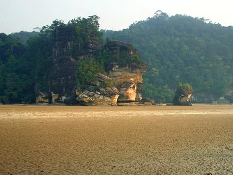 Low tide and forest Foto stock
