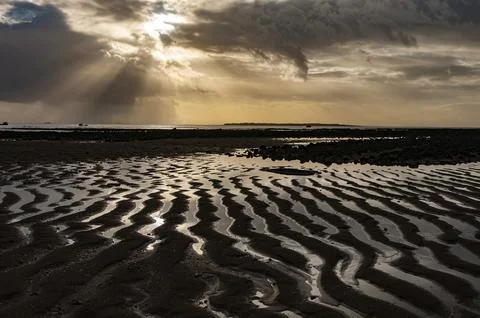 Low tide and setting sun Stock Photos